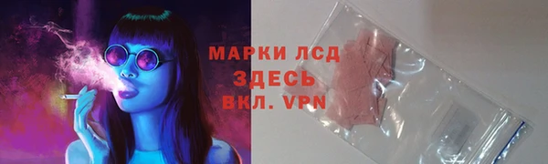 сатива Россошь