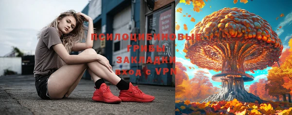 apvp Рославль