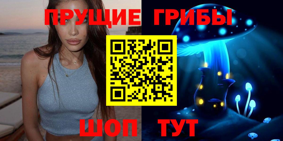 Абинск  Псилоцибиновые грибы Psilocybe  Вход с VPN 